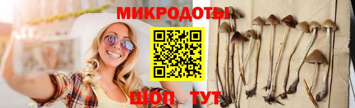 Псилоцибиновые грибы Psilocybe  Псилоцибиновые грибы прущие грибы  Орехово-Зуево  Вход с VPN 